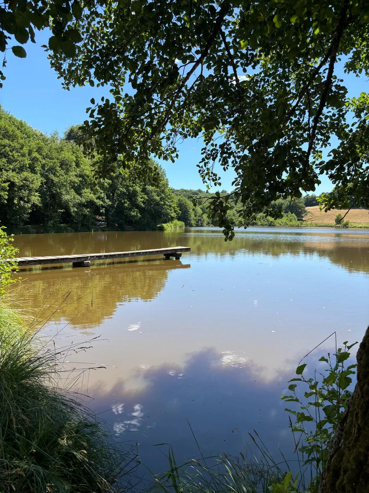 Gîte au cœur du Limousin : détente, pêche et nature à votre porte