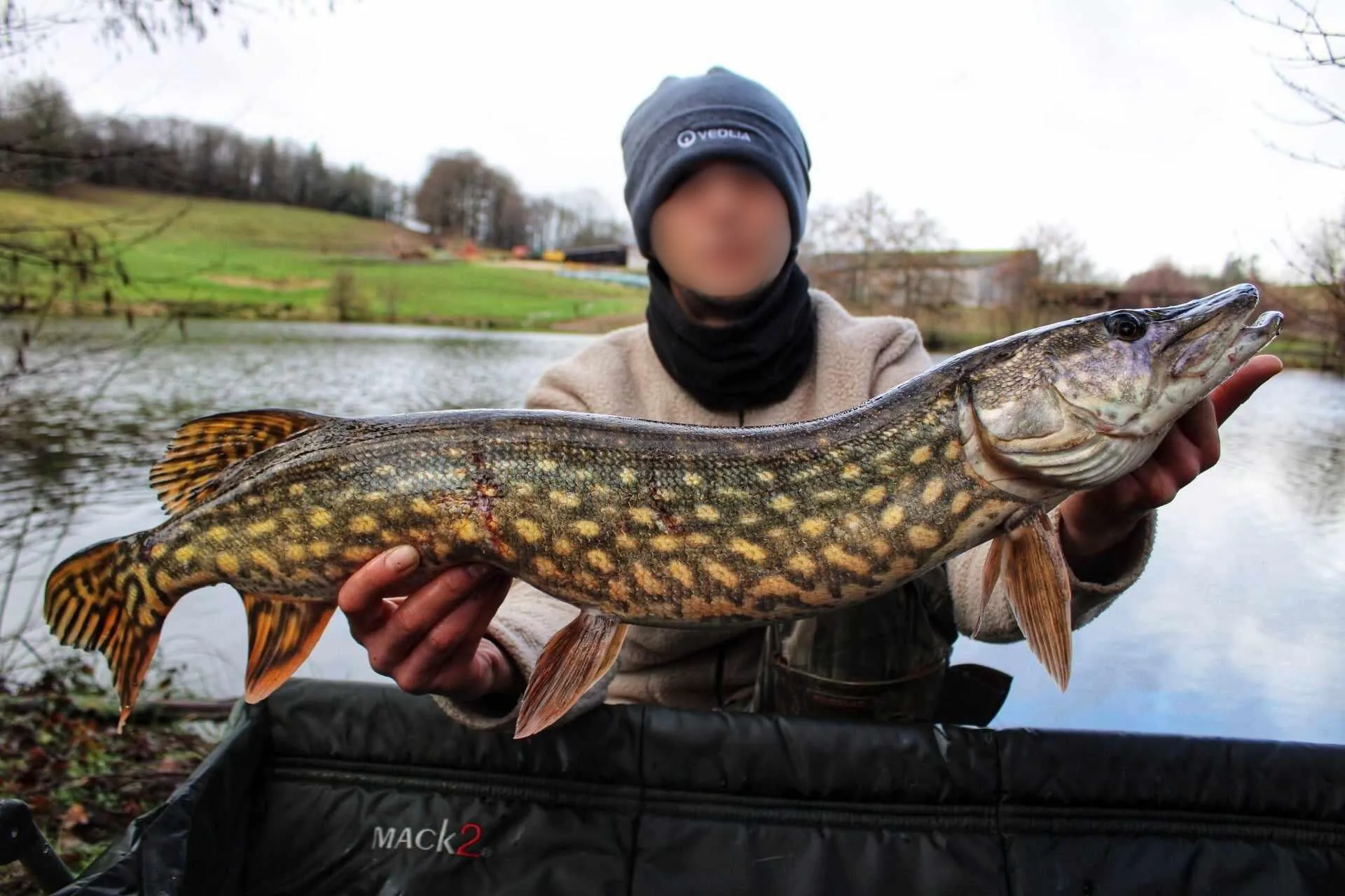 Gîte au cœur du Limousin : détente, pêche et nature à votre porte