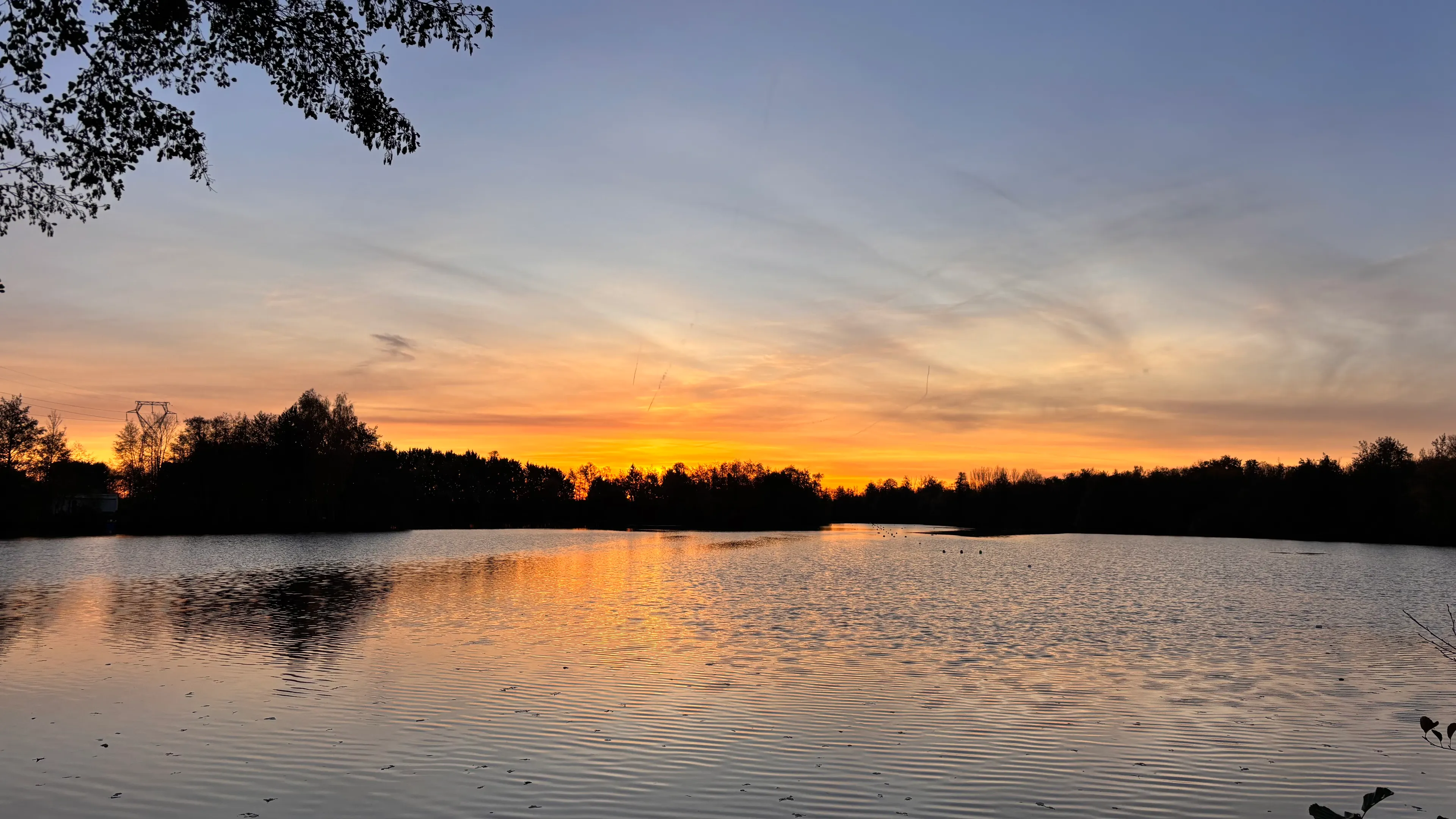 Etang de 17ha avec une tiny house 6 couchages