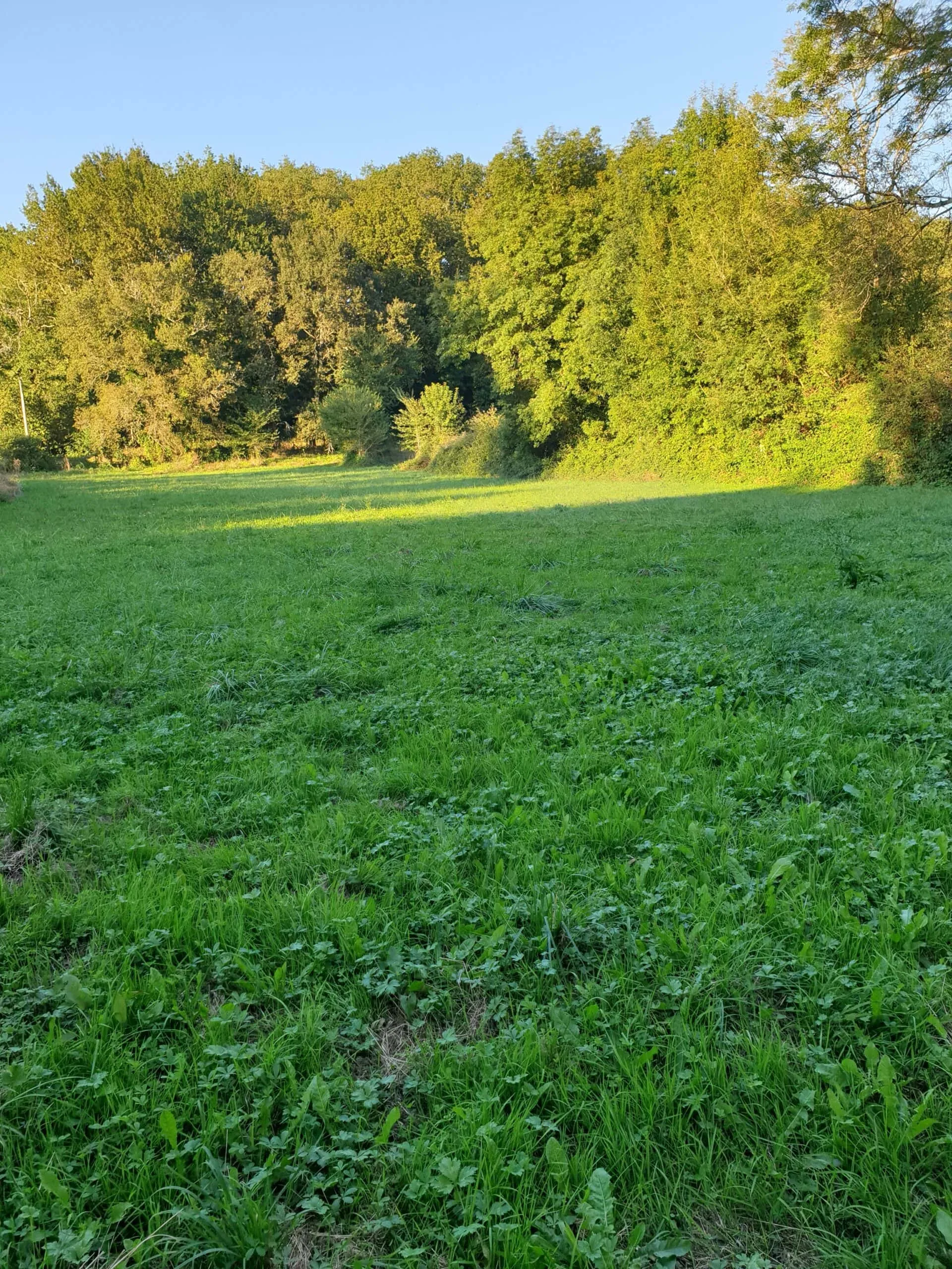 Halte paisible en camping-car au bord d'un étang avec rivière au coeur de la Dordogne