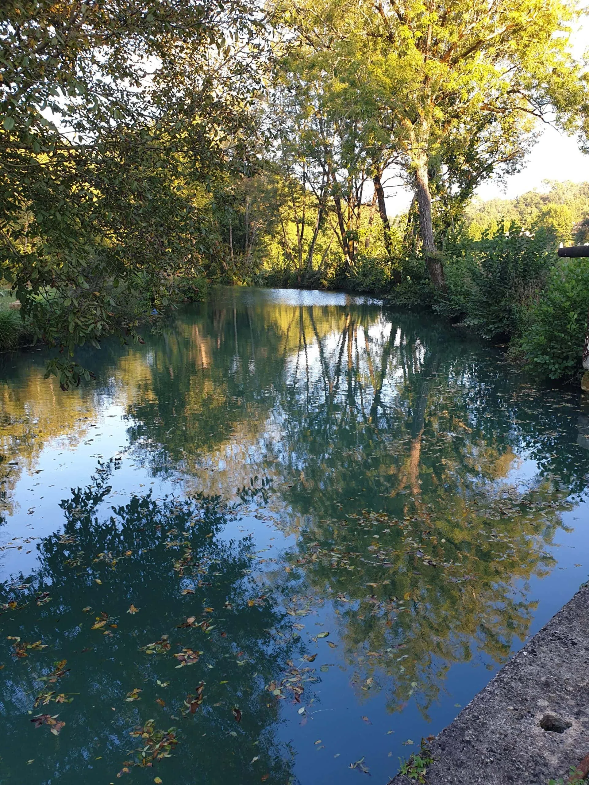 Halte paisible en camping-car au bord d'un étang avec rivière au coeur de la Dordogne