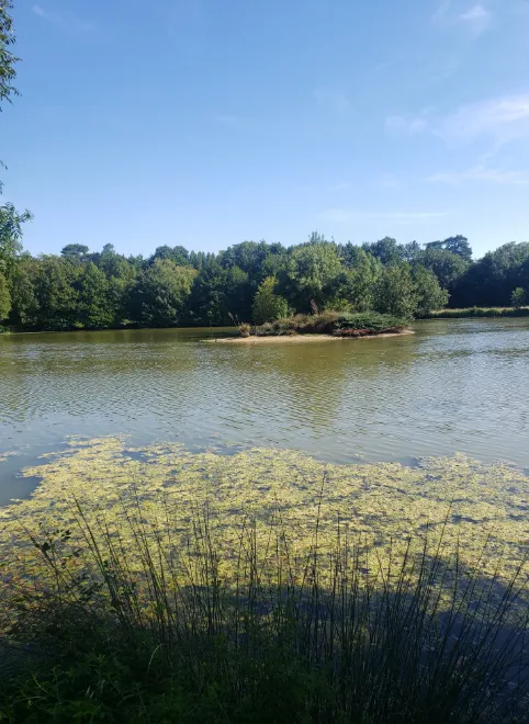 Chalet en bord d'étang