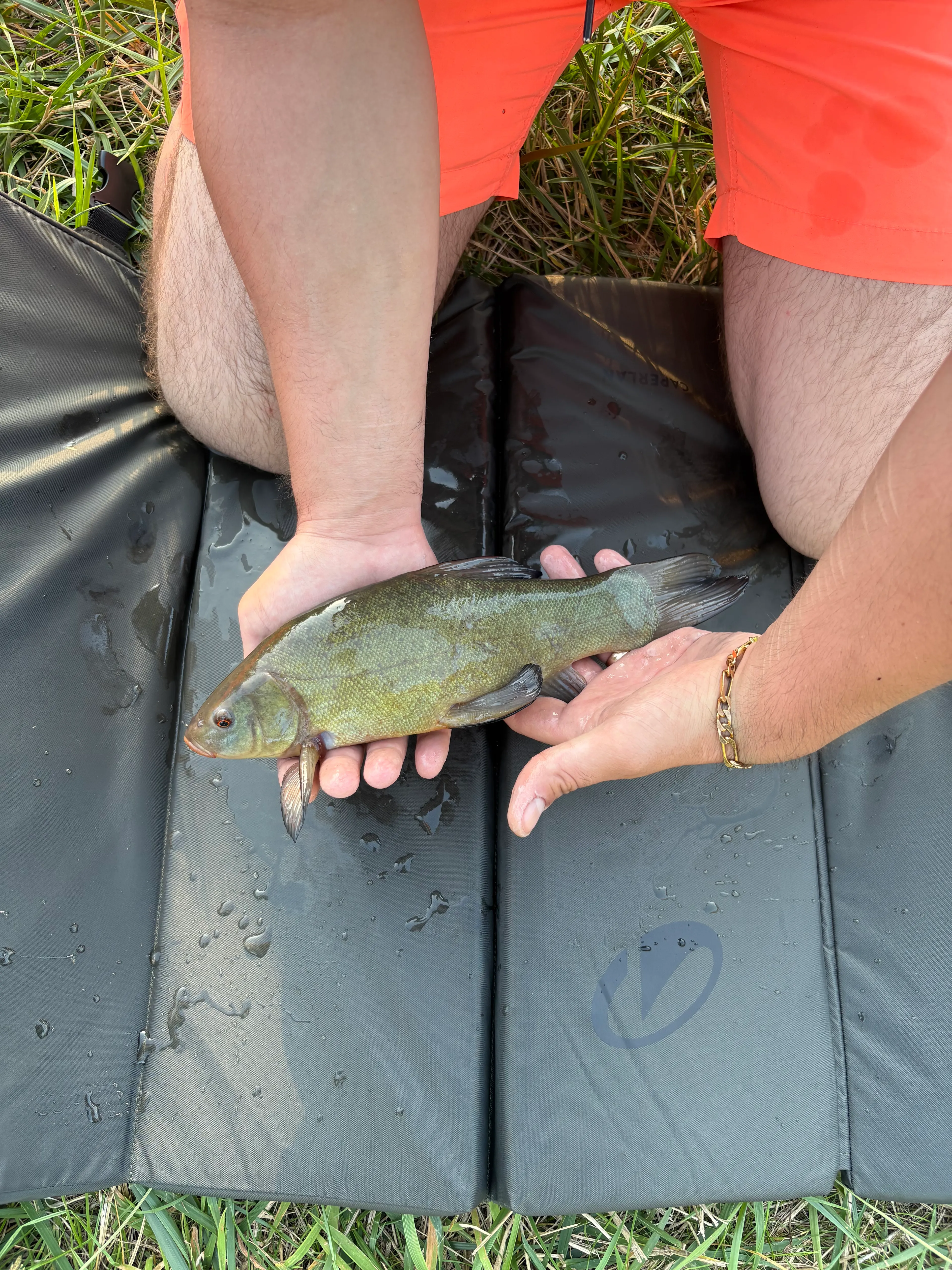 Etang de pêche à louer à côté de Reims