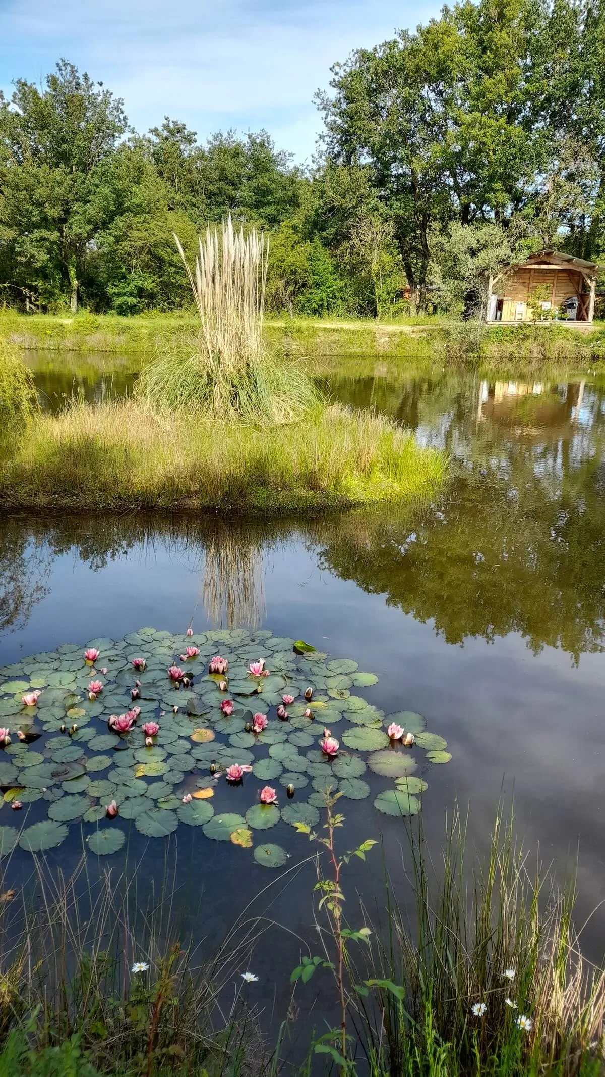 Le chalet bateau "M" en pleine nature avec étang de 4000 m² – Pays de Loire