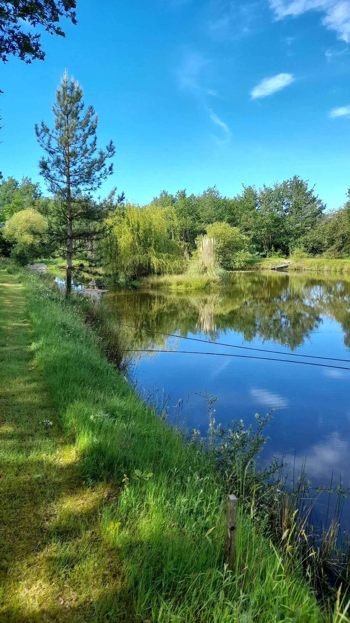 Le chalet bateau "M" en pleine nature avec étang de 4000 m² – Pays de Loire