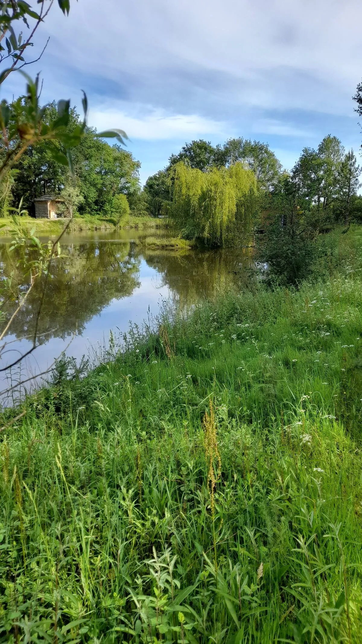 Le bateau "D" pour 4 personnes avec étang privé de 4000 m² – Pays de Loire