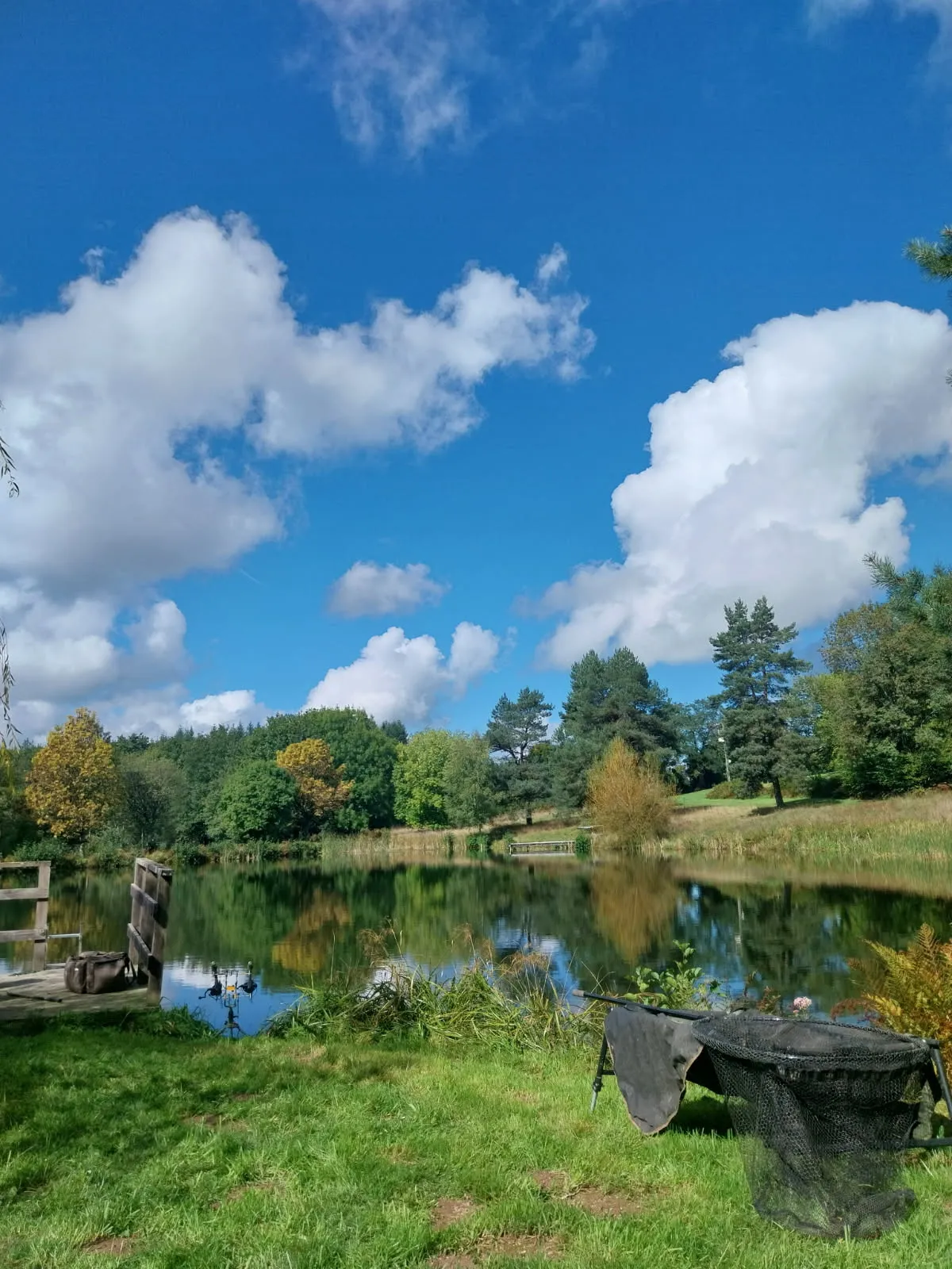 Havre de paix en pleine nature avec 3 étangs privé La Past