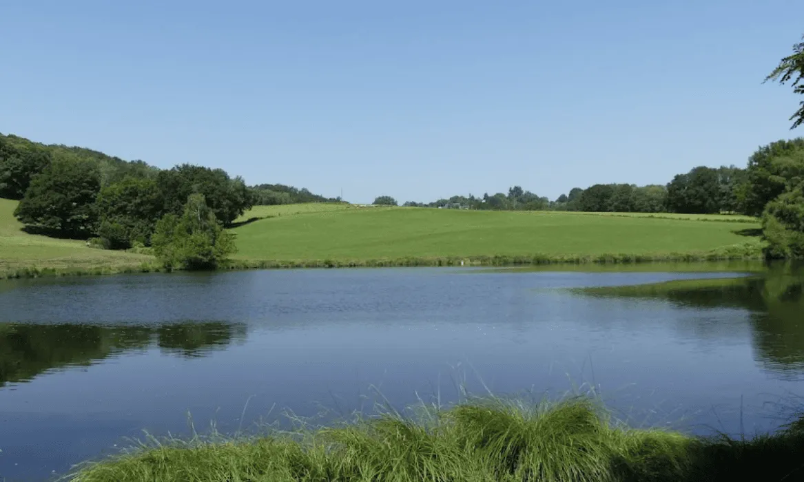 Studio and its fishing pond