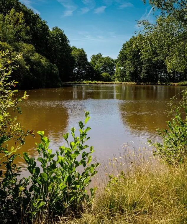 Gite with its pond 9 beds