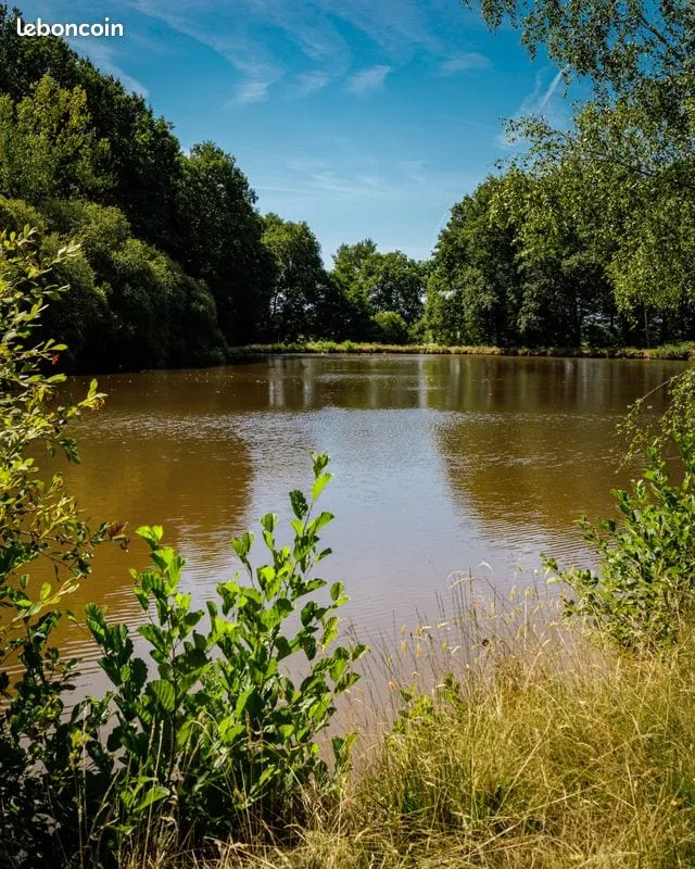 Studio et son étang de pêche