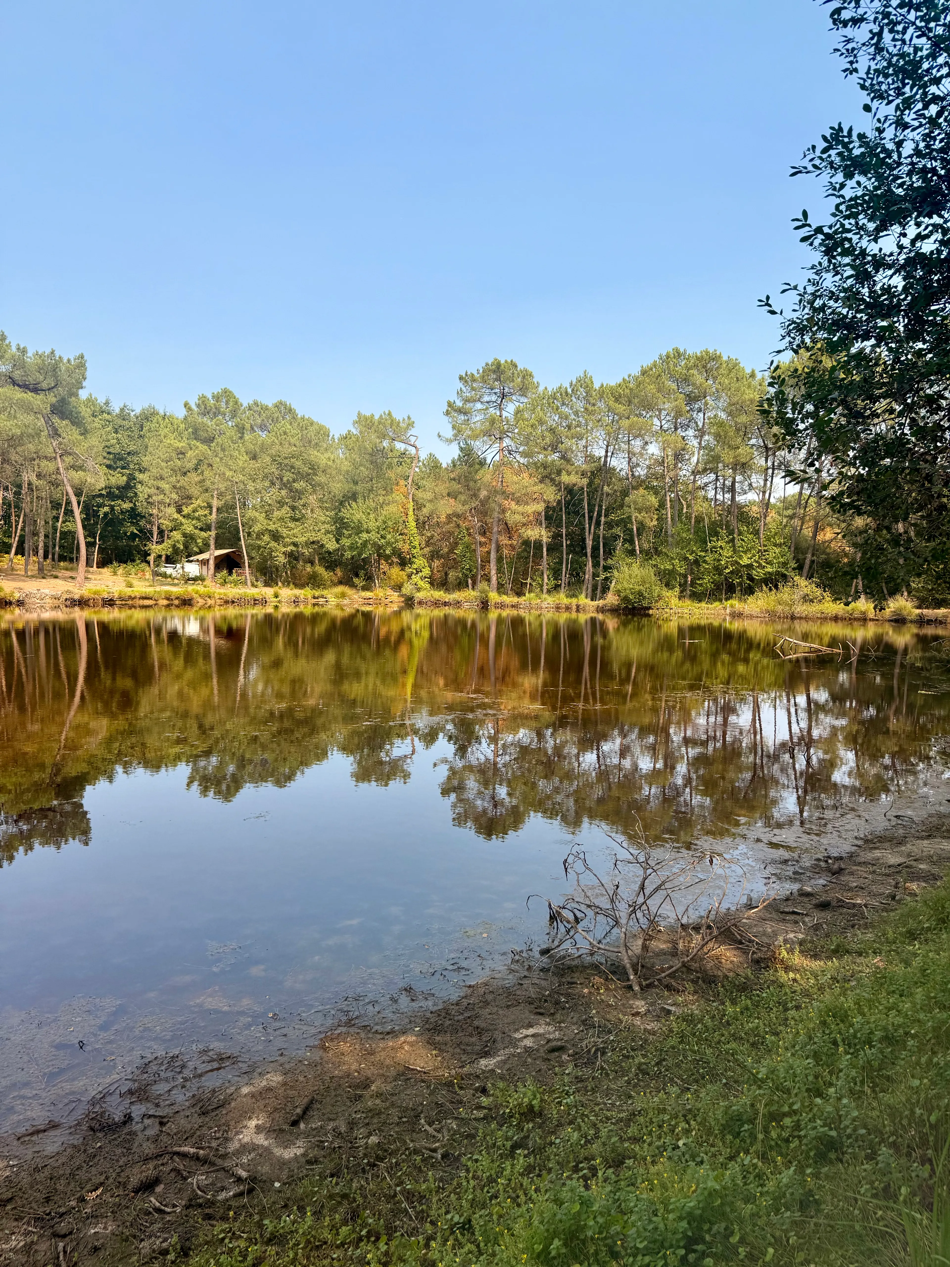 Tent safari with privatization of its pond on an area of 74.13 ac