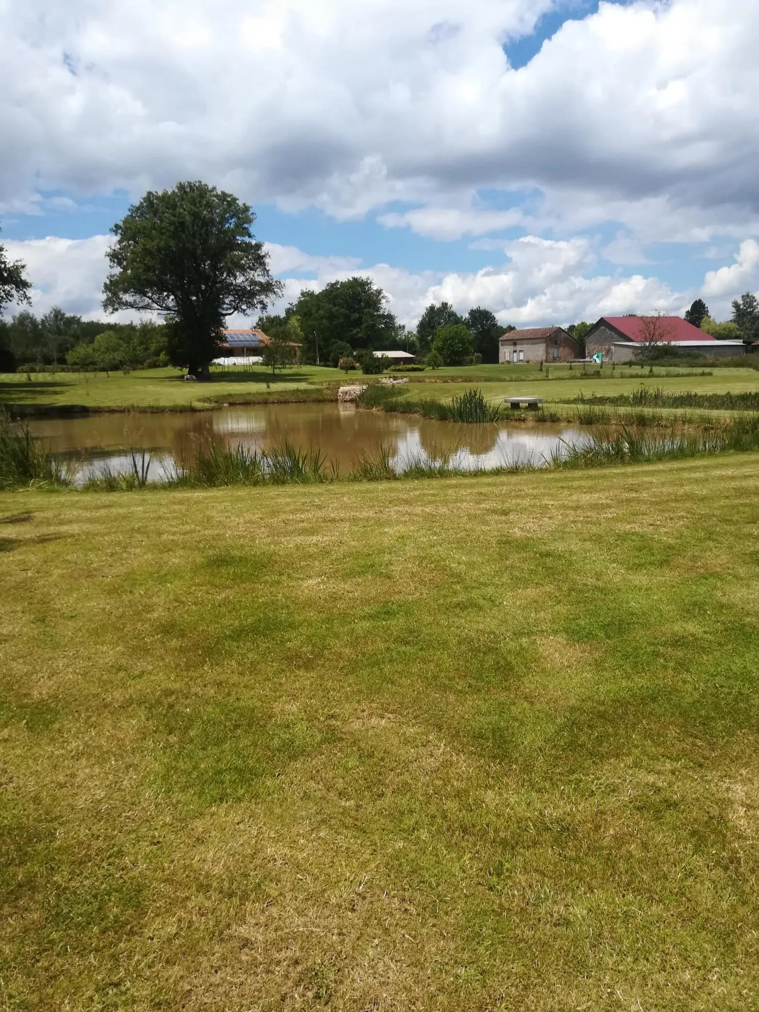 1 étang et 2 marres pour une journée nature et pêche