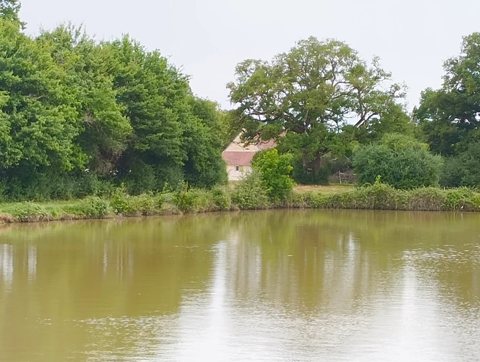 Quiet and cozy cottage with pond of 14.83 ac