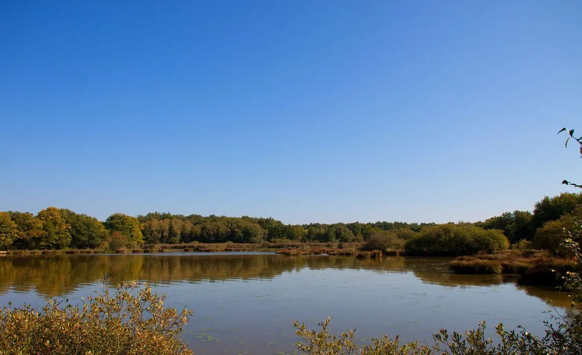 cottage with private pond 3 min from pond