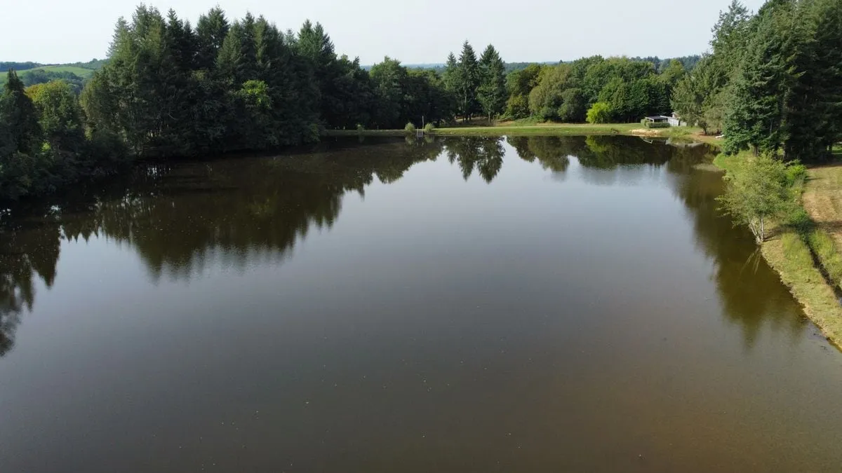 Etang à la campagne dans un cadre verdoyant