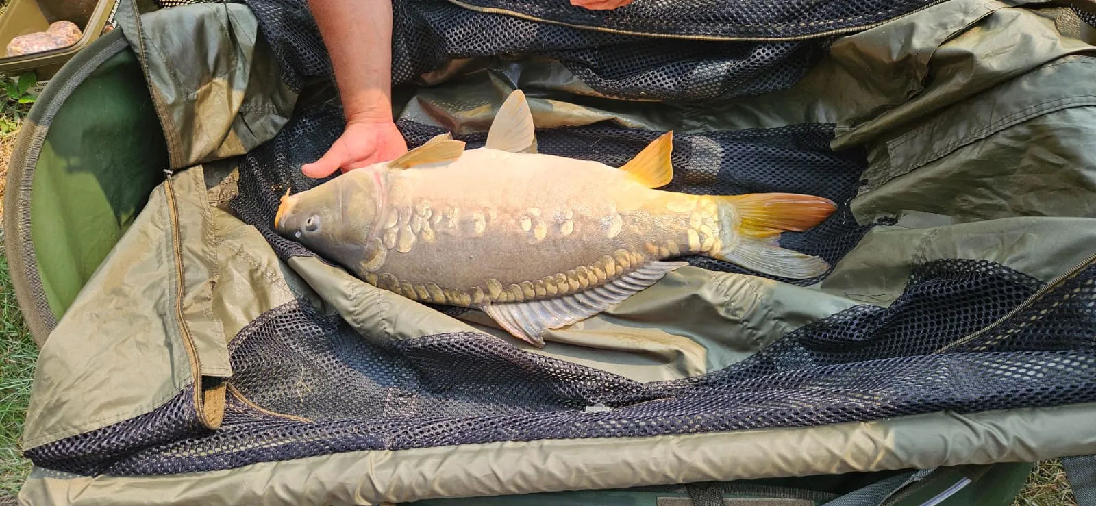 Location étang de 12ha + un étang de 2ha pour la pêche