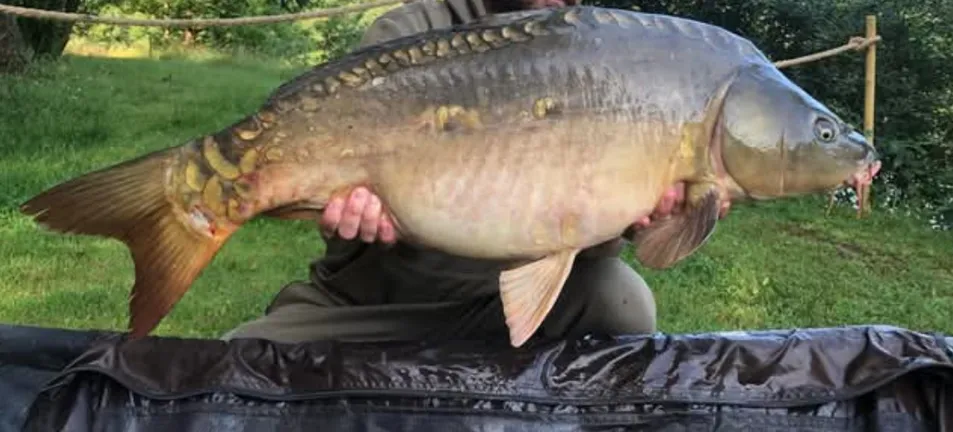 Tente lodge confort avec jacuzzi privatif de 1,8 ha dans l'allier - de 2 à 4 personnes