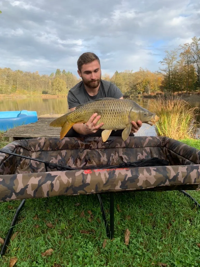 Gîte tout confort avec étang privé aux portes de Belfort