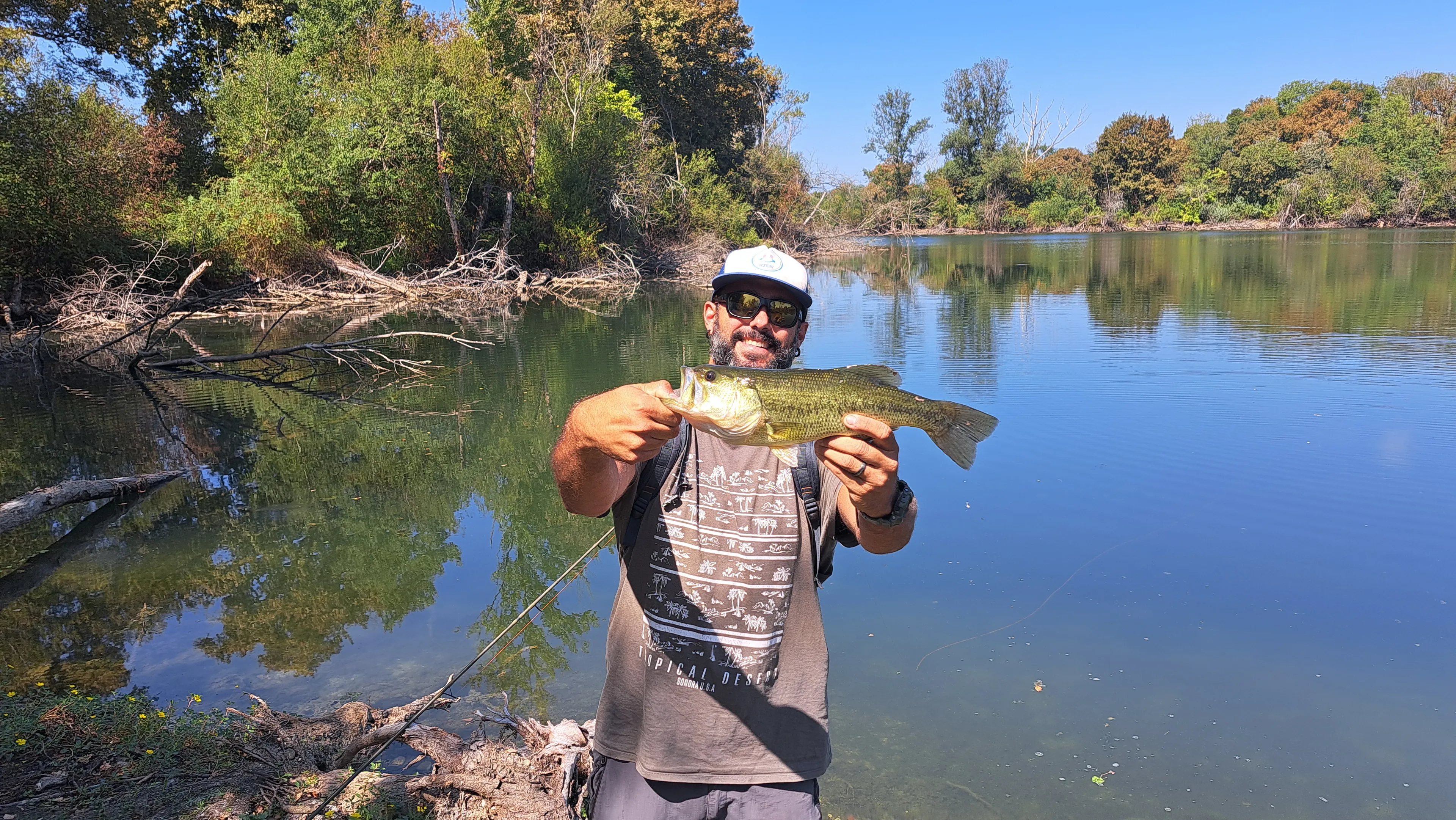 Ponds of 2x 7.41 ac for rent in the Landes with cottage by pond