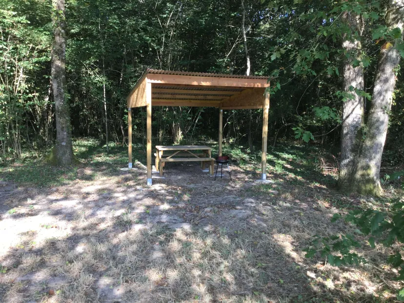 Chalet avec un magnifique étang de pêche de 4ha au cœur de la Touraine