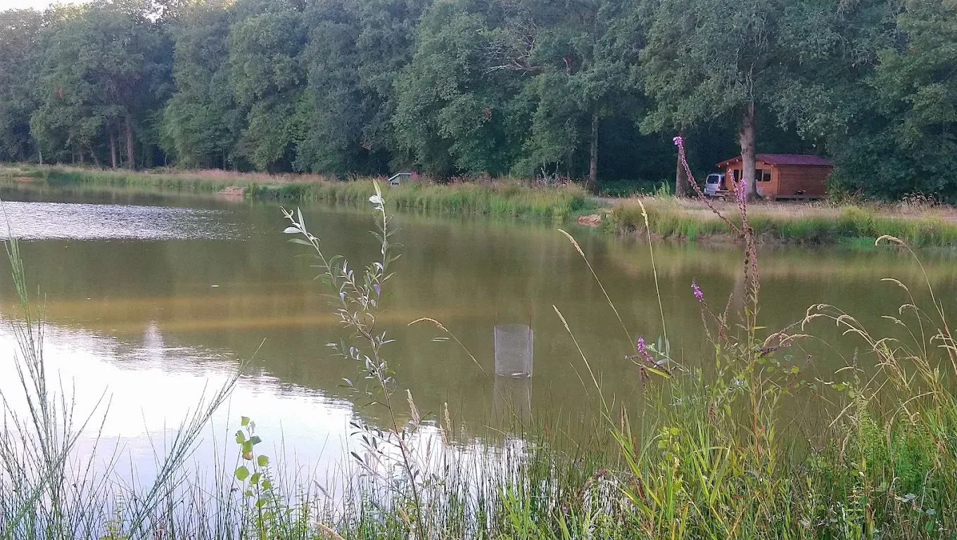 Magnifique étang de pêche avec gîtes au cœur de la Touraine