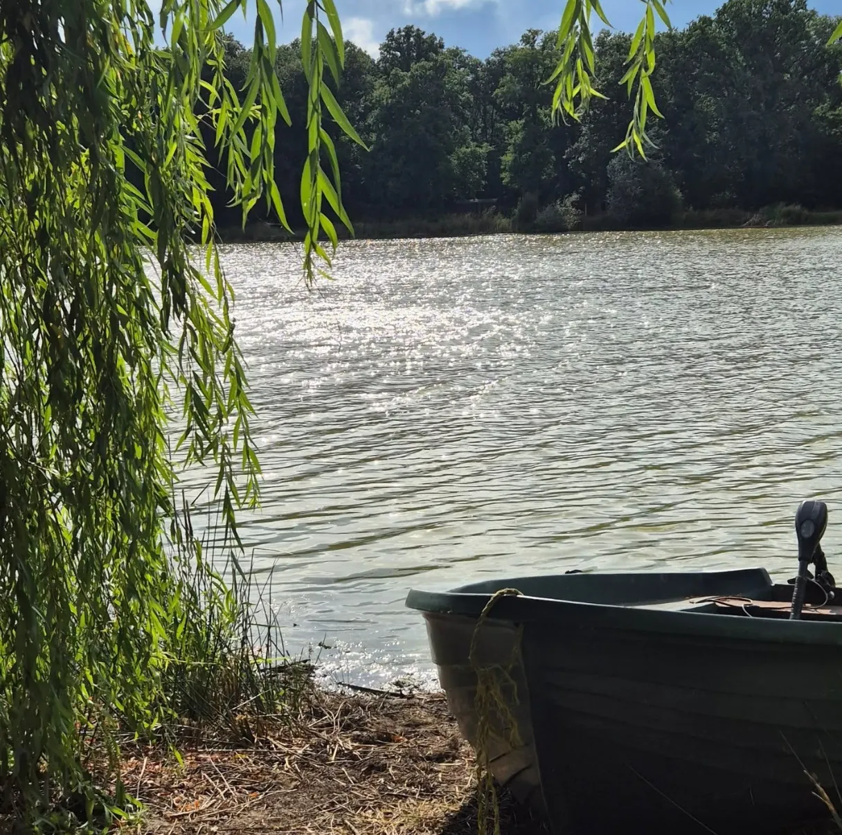 Magnifique étang de pêche avec gîtes au cœur de la Touraine
