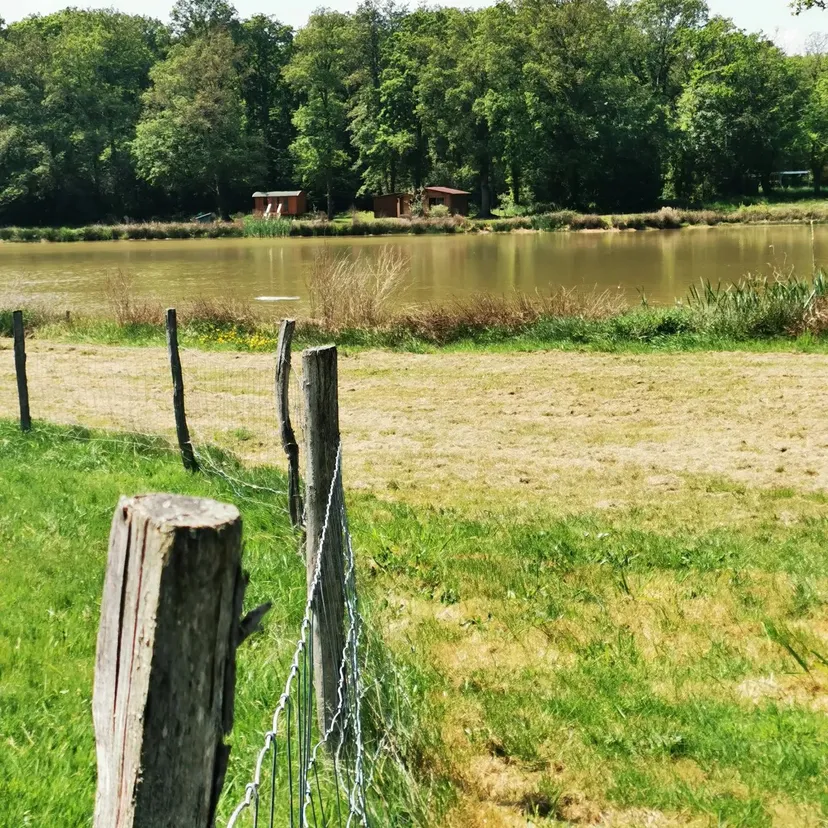 Tiny House avec accès direct à l'étang pour une pêche en toute tranquillité