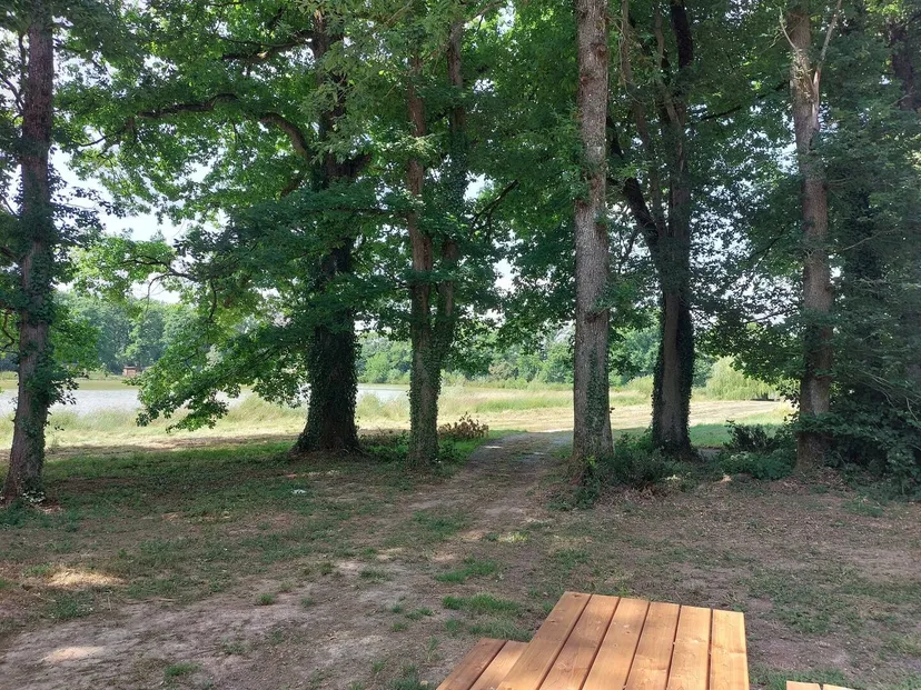 Tiny House avec accès direct à l'étang pour une pêche en toute tranquillité