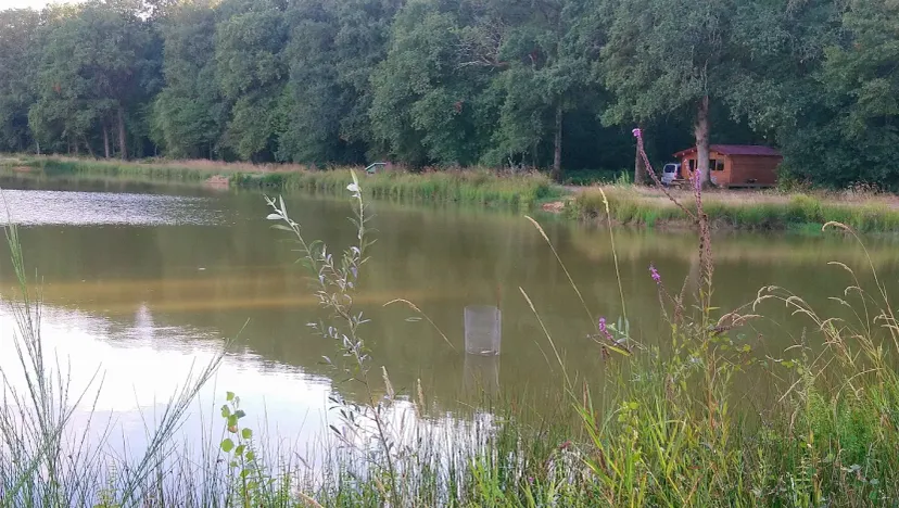 Tiny House avec accès direct à l'étang pour une pêche en toute tranquillité