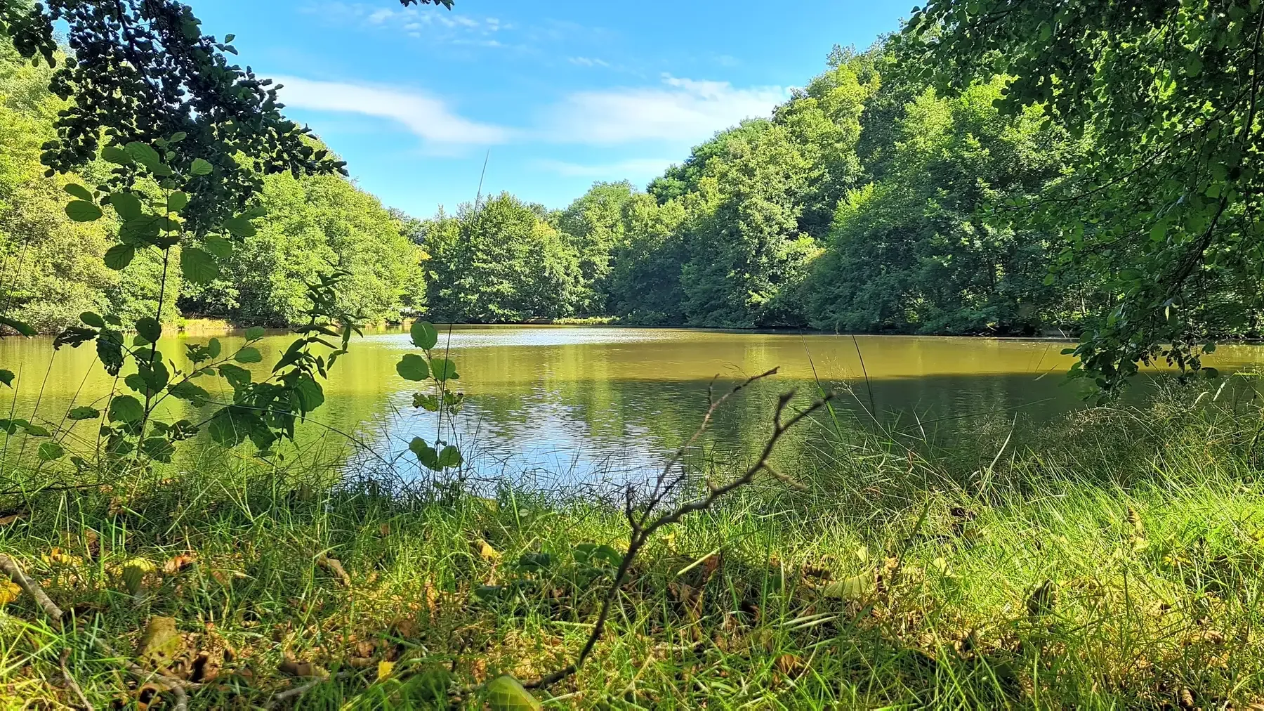 Chalet familial en Dordogne, au cœur du Périgord avec ses étangs de pêche