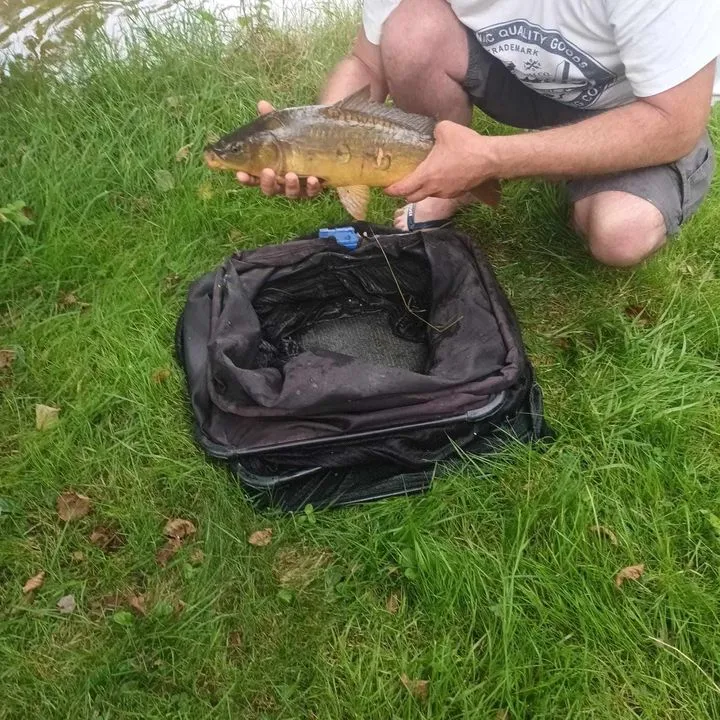 Séjour nature en Dordogne dans un chalet tout équipé avec ses étangs de pêche
