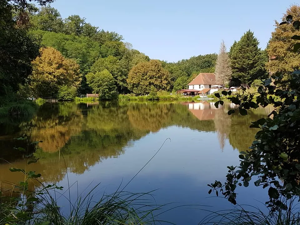 Chalet équipé au calme, près d’un étang en Dordogne