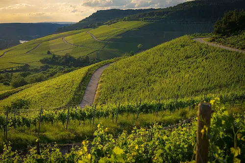 Champagne-Ardenne
