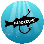 Bar d'ecume