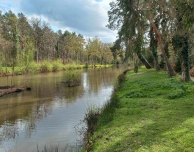 Terrain de loisir avec étang au calme pleine foret