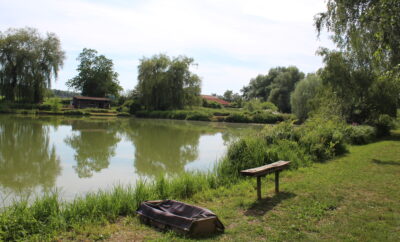 Etang carpodrome avec chalet en Alsace