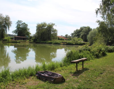 Etang carpodrome avec chalet en Alsace