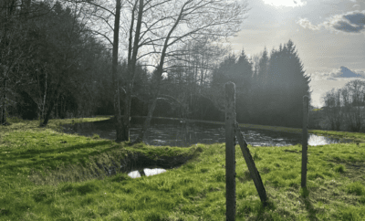 Petit étang au calme pour passer une agréable nuit