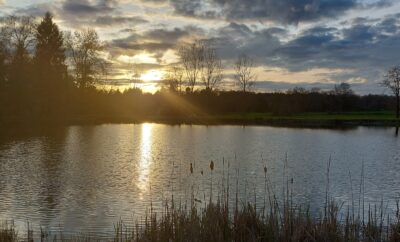 Etang au calme, pêche et détente avec terrain de pétanque