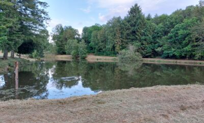 Etang au calme, pèche et détente