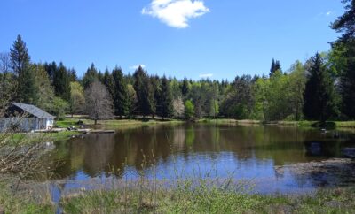 Gite 10 Pers. avec son étang d’un hectare 100% privatif, cadre à couper le souffle avec jacuzzi