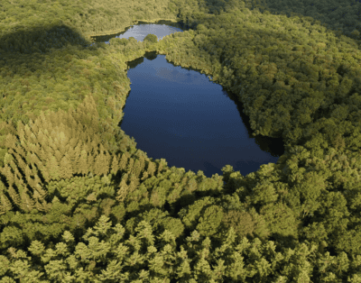 2 étangs de 12ha en déconnexion totale au coeur de la nature