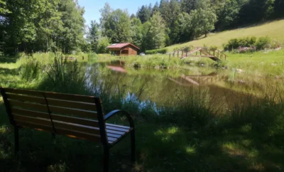 Chalet et étang près de Gérardmer