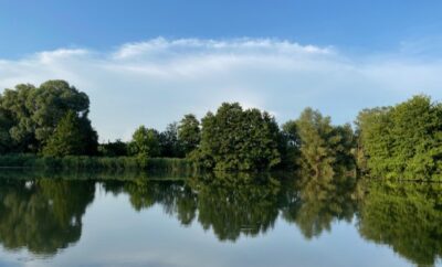 Etang de 1.2 hectare au milieu de la campagne