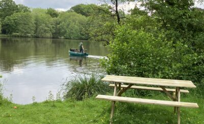 Etang avec un fort empoissonnement – Etang des milles et une carpe