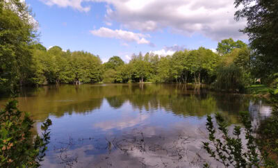 Etang dans le limousin typé Fisherie 1.2 ha