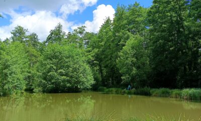 Évasion Nature près de Paris : Découvrez notre Étang de Pêche aux Carpes et Poissons Blancs