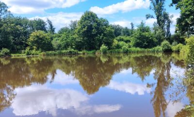 L’étang de la chevrine 1.6ha pour une bonne journée de pêche