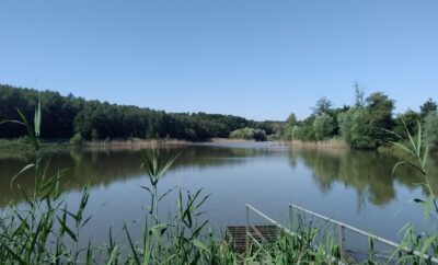 Etang 3 hectares sur la commune Des Etangs Moselle