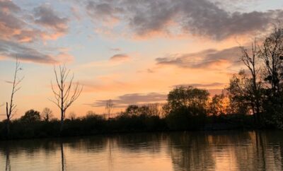 Etang à louer en Indre – la nature avec 1ha d’eau